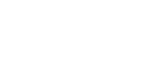 DSV Logo